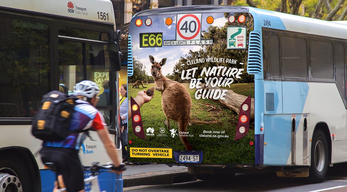 Bus Back mockup Kangaroo