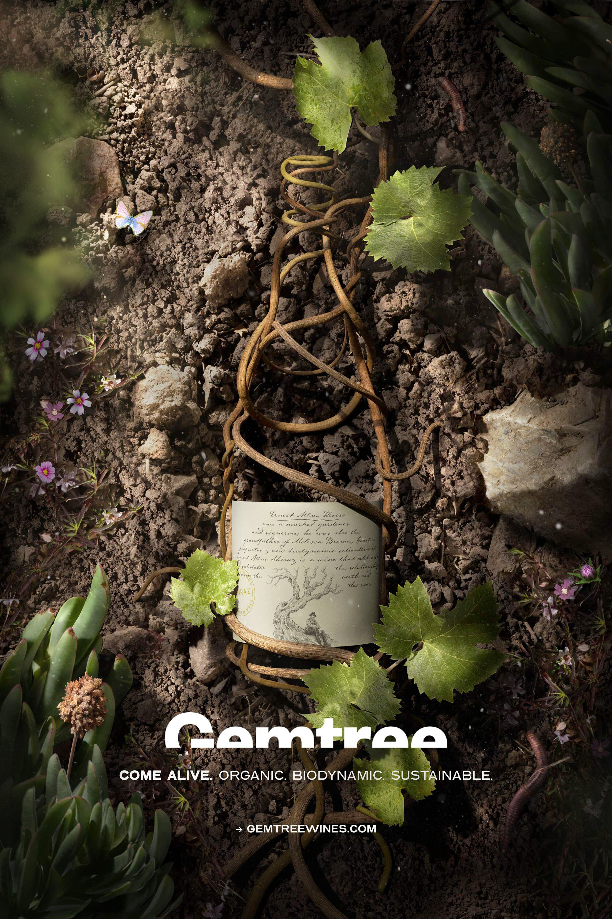 Gemtree Wines – Ernest Allen