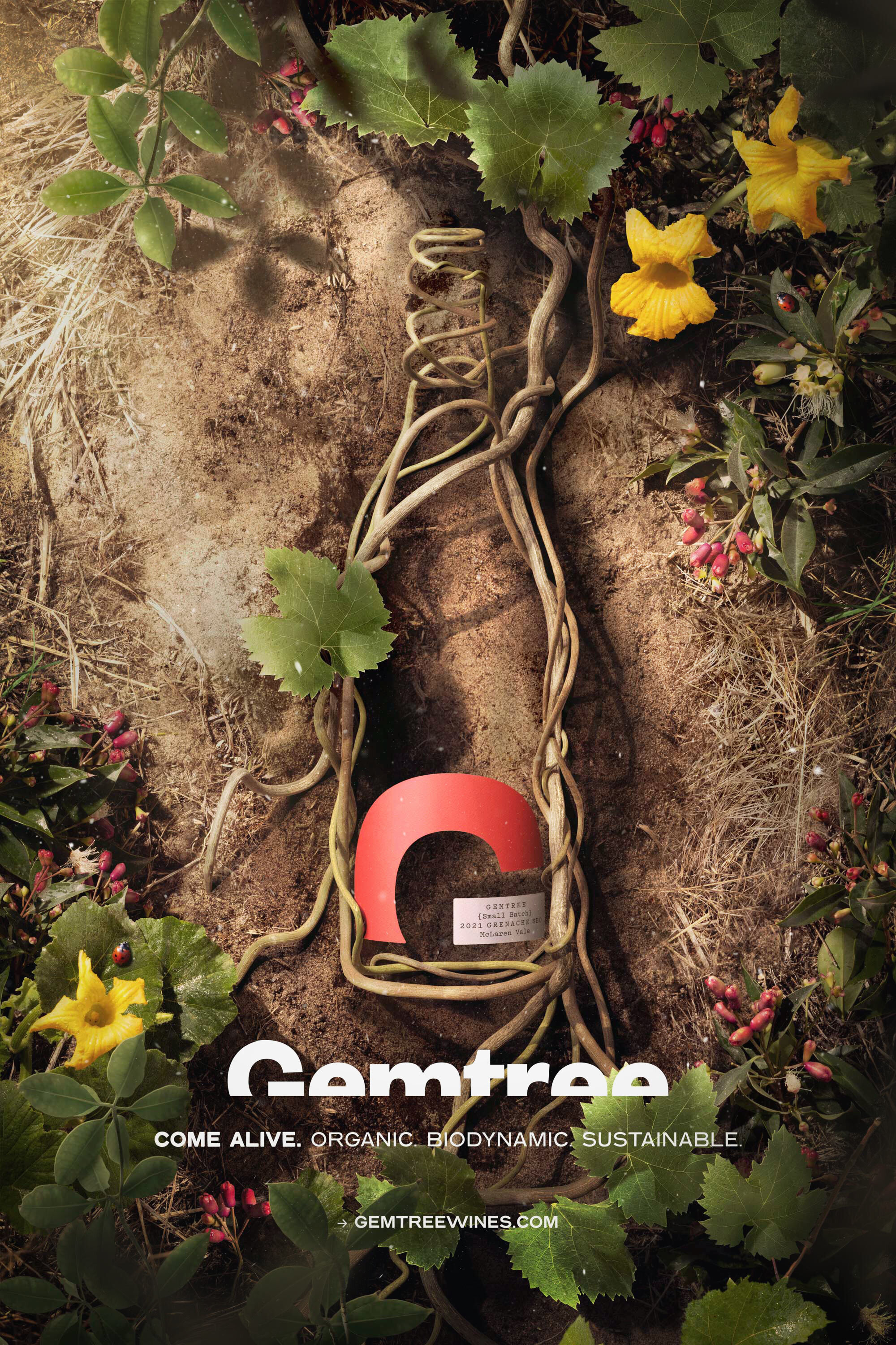 Gemtree Wines – Grenache