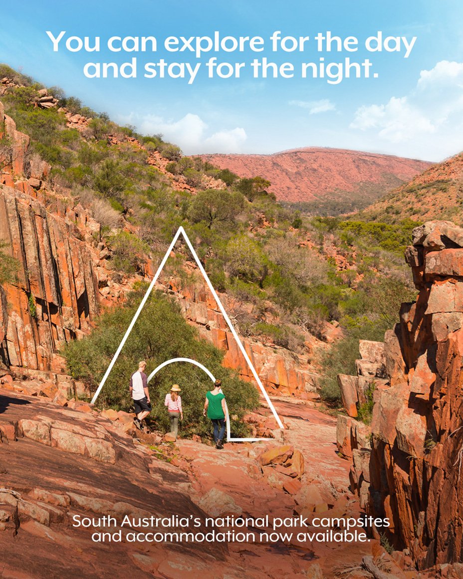 DEW40621 Social Distancing Phase 2 Social Assets - Camping B