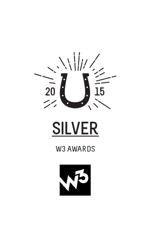 NEW-Awards-space-300x485px-16-2014-2015-W3_Silver_award.png