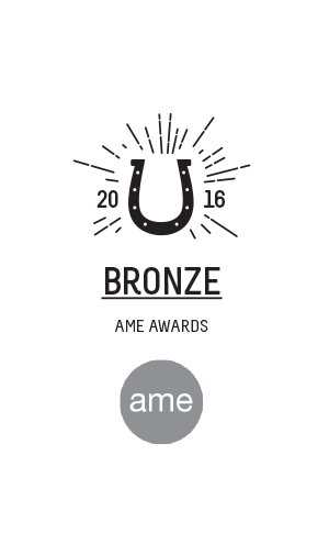 NEW_Awards_space_300x485px_images_02_BronzeAME.png
