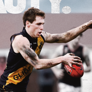 SANFL_.png